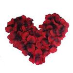 Febbya Silk Rose Petals,2000 Pieces Red Petals Artificial Flowers for Wedding Confetti Valentine's Day Art 5X5cm