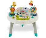 Fisher-Price 2-in-1 Activity Game Center