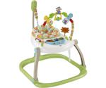 Fisher-Price Spacesaver Jumperoo