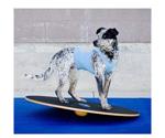 FitPAWS Wobble Board 50 cm