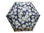 Fulton Superslim Ladies Compact Folding Umbrella - Pinstripe Flower