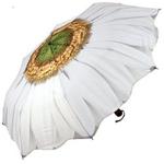 Galleria Art Print Auto Open & Close Folding Umbrella - White Daisy