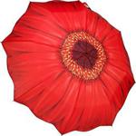 Galleria Auto Folding Umbrella - Red Daisy