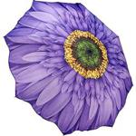 Galleria Auto Folding Umbrella - Wisteria Daisy