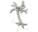 GiantMicrobes Brain Cell