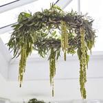 Ginger Ray Botanical Wedding Hanging Chandelier Hoops for Foliage 3 Pack Wedding