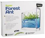 Globus International Antquarium - Super Forest Ants