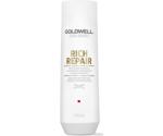 Goldwell Dualsenses Rich Repair Restoring Shampoo