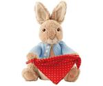 Gund Peek a Boo Peter Rabbit