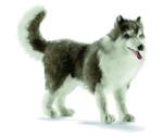 Hansa Toy Siberian Husky 32 cm