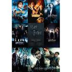 Harry Potter Collection Maxi Poster shop4world.com