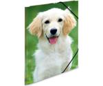 Herma A3 Plastic Folder Dog