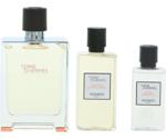 Hermès Terre d'Hermes Set (EdT 100ml + AS 80ml + SG 40ml)