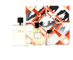 Hermès Terre d'Hermes Set (EdT 100ml + EdT Mini 12,5ml + SG 80ml)