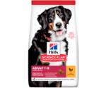 Hill's Science Plan Advanced Fitness Large Breed poulet