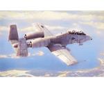 HobbyBoss N/AWA-10A Thunderbolt II (80324)