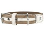 Hunter Madeira dog collar