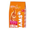 IAMS Adult with Salmon - (3 kg)