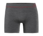 Icebreaker Icebreaker Men's Anatomica Seamless Boxers monsoon heather