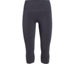 Icebreaker Women's Motion Seamless 3Q Tights panther