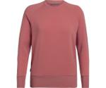 Icebreaker Women's Nature Dye Helliers Long Sleeve Crewe Sweatshirt