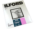 Ilford 1769881