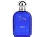 Jaguar Fragrances For Men Evolution Eau de Toilette (100ml)