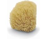 Jane Natural sponge