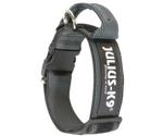 Julius K-9 Collar with Strap & Safety Lock