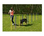 Karlie Set Agility Slalom (100 cm)