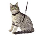 Kerbl Cat Harness with Leash