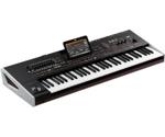 Korg Pa4X International