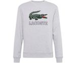 Lacoste Sweatshirt (SH6382)