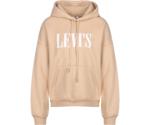 Levi's Graphic 2020 Hoodie