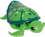 Little Live Pets Turtle