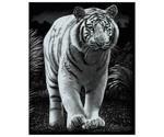 Mammut Scraperfoil Silver Large Tiger