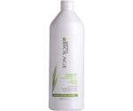 Matrix Biolage Cleanreset Normalizing Shampoo