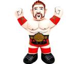 Mattel WWE Championship Brawlin Buddies Sheamus