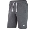 Nike Club 19 Fleece Shorts (AQ3136)