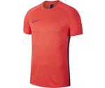 Nike Dri-FIT Academy Football Short-Sleeve Top