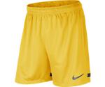 Nike Dri-Fit Knit II Shorts