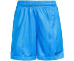 Nike Dry Squad Football Shorts Youth