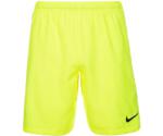 Nike Dry Squad Shorts