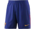 Nike FC Barcelona Shorts