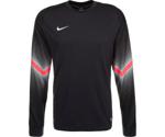 Nike Goleiro Goal Keeper Shirt L/S