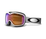 Oakley Stockholm Goggles