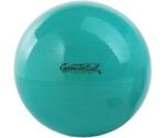 Original Pezzi Gym Ball Standard 65 cm