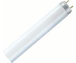 Osram L 36W/954