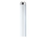 Osram L 38W/830