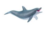 Papo Dolphin, playing (56004)